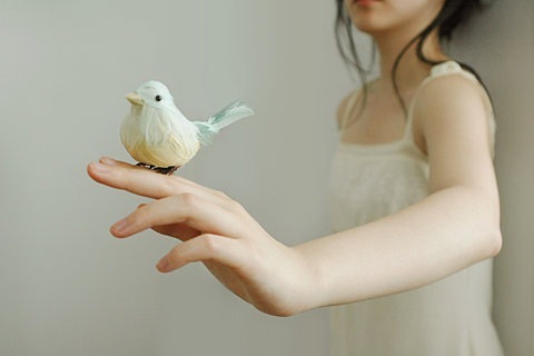 picaboob's profile picture. I run a DIY Art Gallery, Music Venue, Multi-purpose space in the Arizona Lofts in Kirkwood.