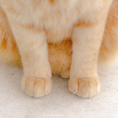 永远只爱大🍓一个さんのプロフィール画像
