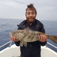 M. Yiğit Ege (@mustafayigitege) 's Twitter Profile