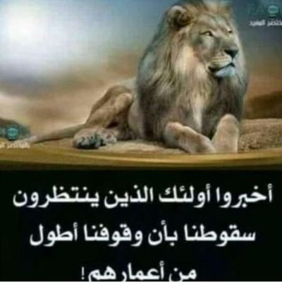 يذهب الألم تلقائيا عندما تجد من يهتم بك ،
الإهتمام لايباع ولايشترى ..
من أهداني إهتمامه لن أتخلى عنه مادمت أتنفس 💛
