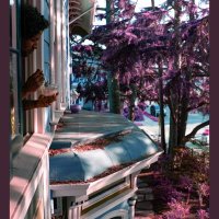 Young Lit Hippies (@younglithippy11) 's Twitter Profile