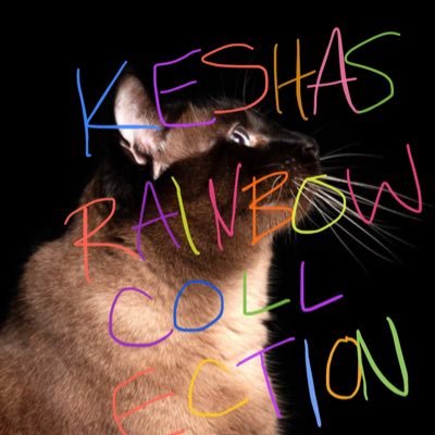 Kesha’s Rainbow Collection is an eBay store for @iiswhoiis !