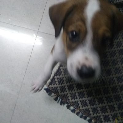 KalaiSelvi2511's profile picture. ALL IS WELL | TEACHER