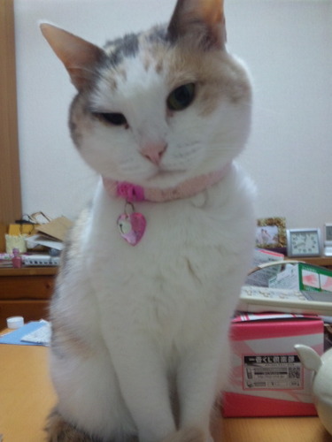 かたやま