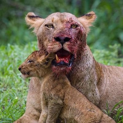 mafloolbrich's profile picture. 