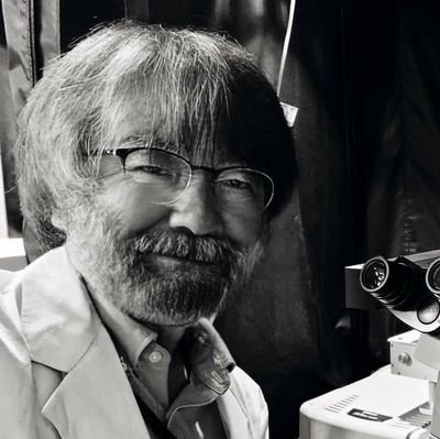 自宅顕微鏡で日々遊ぶ脱アカびと
◆某顕微鏡屋(光顕スペシャリスト)←徳島大(助教)←慶應SFC(特任講師)←MBI-NUS🇸🇬(ポスドク)←総研大-基生研(DC1, PhD)←静大(教育学部) ◆Background: 発生・分子生物学、メカノバイオ、光顕イメージング、蛍光プローブ開発等 ◆ポストは雑多&個人の見解