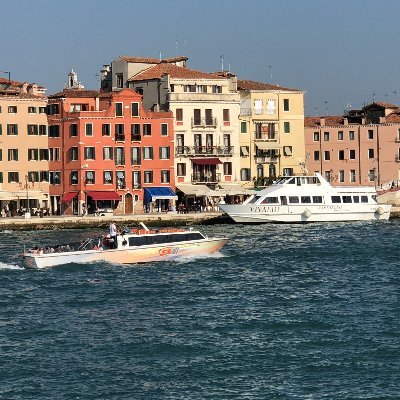 privatehover's profile picture. zone out