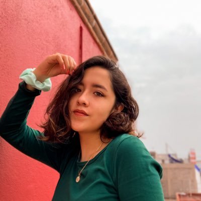 cuenta de respaldo por si me bloquean la otra xd Síganme: @AriCarrilloo