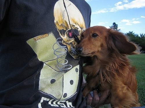 starman2112j's profile picture. rush, gadget, progressive, f1, tokyo, japan, iphone, char, sedona, al di meola, geek, dachshund, phoenix, dog, classic rock, technology, dt, hiromi, ｵｻｰﾝ協会会員