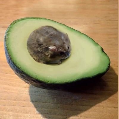 saladperfect's profile picture. 🔫🤠👋