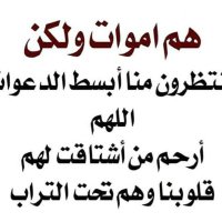مختصر مفيد (@2sih6djc06wreyk) 's Twitter Profile