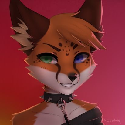 Hey guys! Name's Vik Nightfox, and I am a furry singer living in Kennesaw, GA! Originally from Miami, this here cheetah-fox knows all about fun! :3
