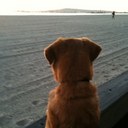 Mike Irwin - @mick562 - Twitter