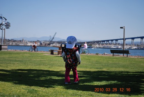 cjarreola's profile picture. Maratonista, programmador .NET y seguidor de tecnologia de IT