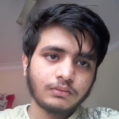 aarya_anshul's profile picture. 