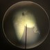 Duckweed Into Opportunities (@duckweedinto) Twitter profile photo Duckweed Into Opportunities (@duckweedinto) Twitter profile photo