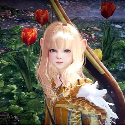 ヒカル 黒い砂漠 Hikaru Twitter ヒカル 黒い砂漠 Hikaru Twitter