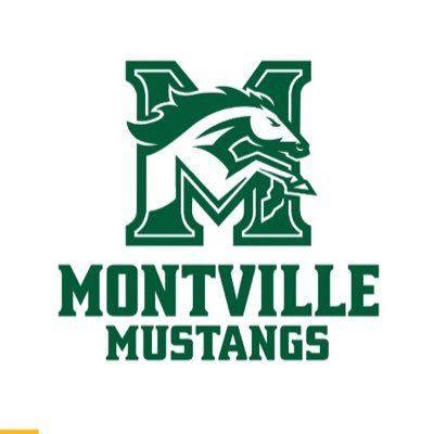 MustangsMTHS Profile Picture