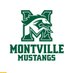 MTHS Athletics (@MustangsMTHS) Twitter profile photo