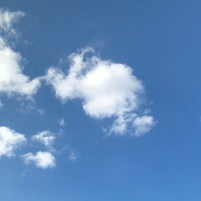 cass_bluthner's profile picture. Only here for Sia. 41 year old lover.