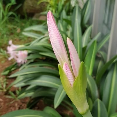 ptmapconsult's profile picture. 