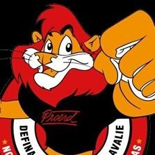 Leao_do_Proerd_'s profile picture. Proerd é a solução // qualquer pronome // policial pra manter a ordem na TGH