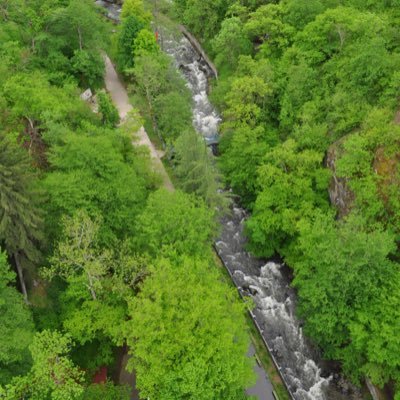 mchoudri's profile picture. 