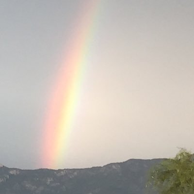 krismruss's profile picture. 