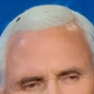 Hey guys, 

I'm the fly who almost died in Mike Pence's hair