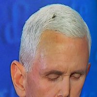 Fly On Mike Pence’s Head (@flyonmike4) 's Twitter Profile