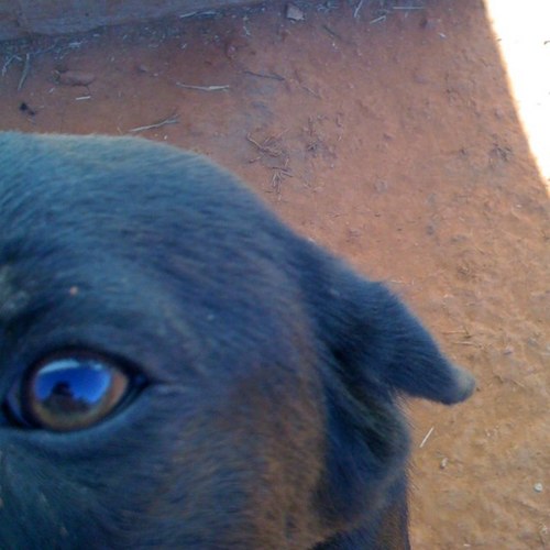 JamesWillMom's profile picture. 