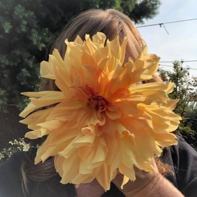 I’m better at instagram @fleurieflowerstudio. Intimate, micro-size events using seasonal local flowers. Urban flower grower, plant geek, flower devotee