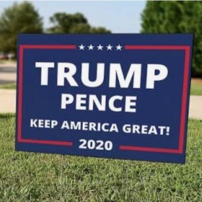 No dream is too big, No challenge is too great, Nothing we want for our future is beyond our reach. - President Donald J. Trump 🇺🇸God bless America🇺🇸