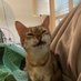 sniff (@finnjaminn) Twitter profile photo sniff (@finnjaminn) Twitter profile photo