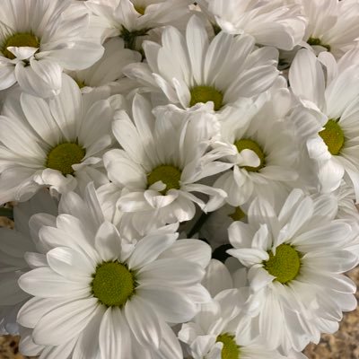 Lady2166701251's profile picture. 