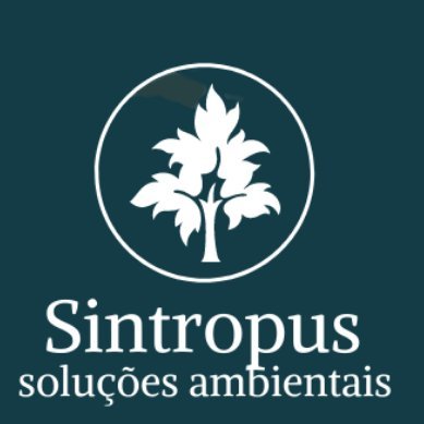 sintropus's profile picture. 