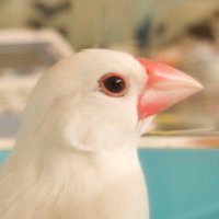 tacamy (@tacamy) Twitter profile photo