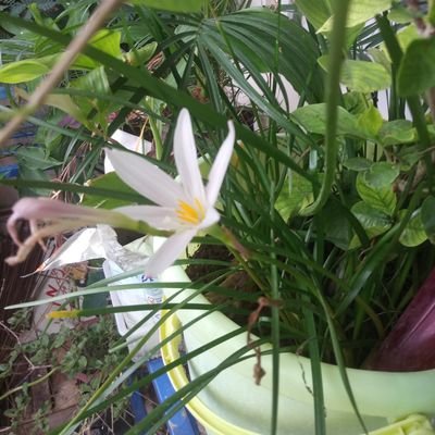 eurydikeos's profile picture. Imagination