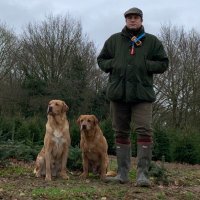 Iain Young (@averageyoungsy) 's Twitter Profile