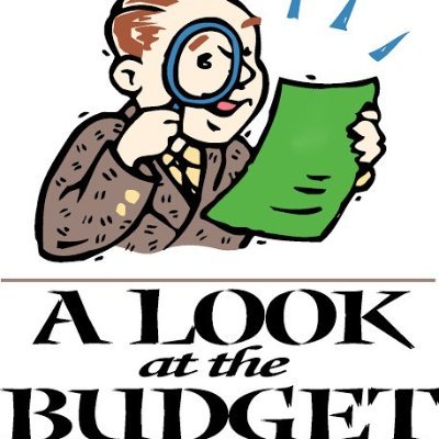 A team committed to promoting public access to budget information and the adoption of inclusive and accountable budget systems.