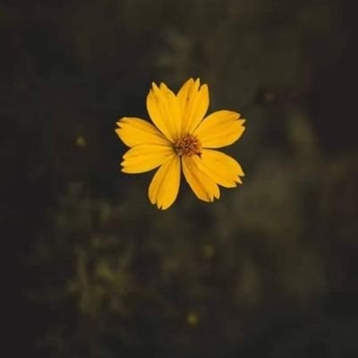 اللهُم كُف عنا ظُلم البشر وقسوة قلوبهم وخُبث مقاصدهُم وسوء نُواياهم 🌼🍀
