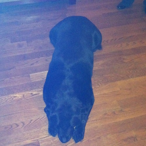 jtcoyne29's profile picture. 