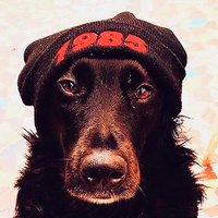 steph (@steph06000) 's Twitter Profile