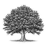 jbum (@jbum) 's Twitter Profile