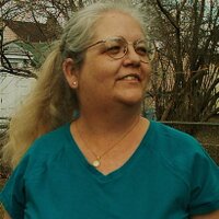 Pamela Booth (@53echo) 's Twitter Profile
