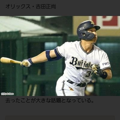 野球、白猫、ギャンブルが好きです