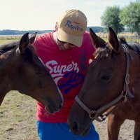 Daniel Redén (@stallzet) 's Twitter Profile