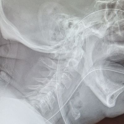 ophdeheezy's profile picture. 