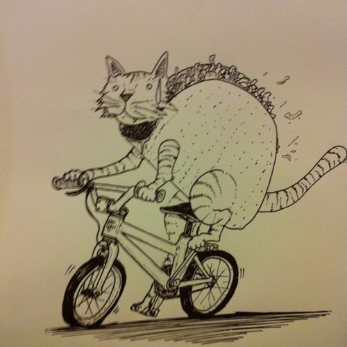 walidk's profile picture. 