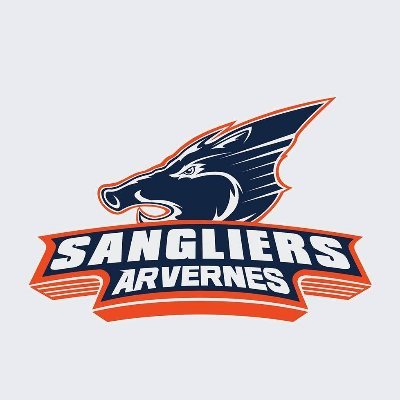 Le HCCA les Sangliers Arvernes est un club hockey sur glace français, fondé en 2005 qui évolue en division 1. 🐗 #gosangliersgo